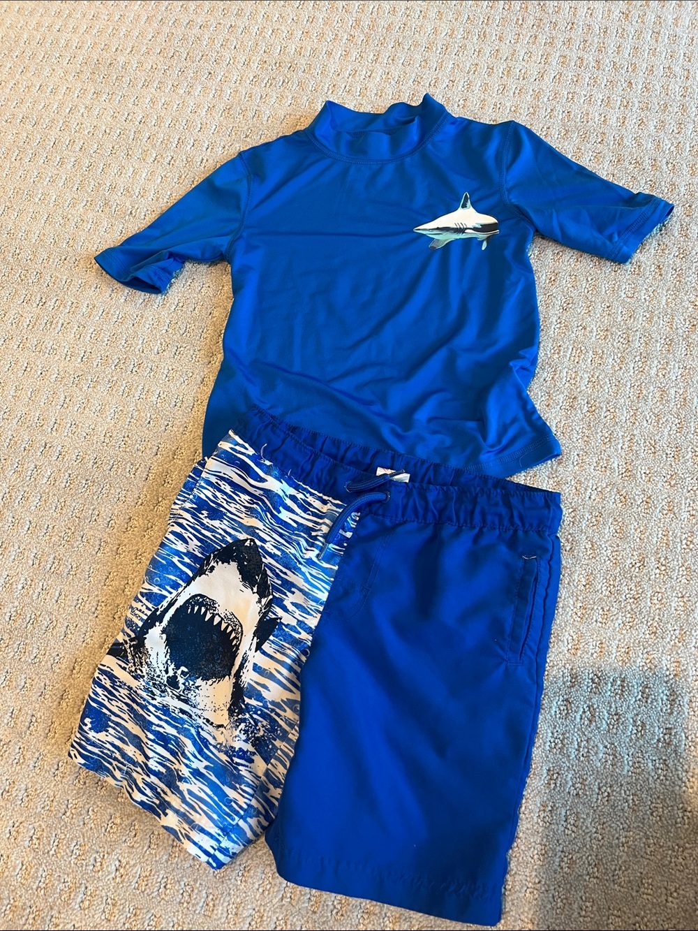 Cat & Jack Blue Shark Rashguard and Swim Shorts Set